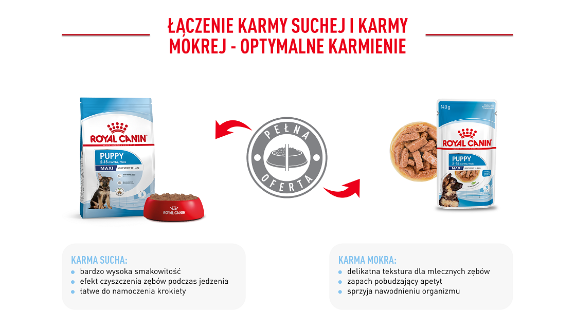 ROYAL CANIN Maxi Puppy in souce 10x140 g